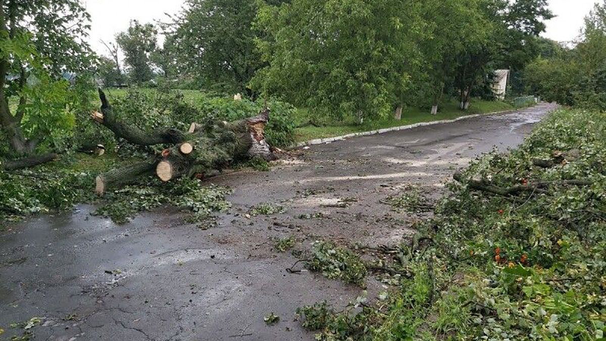 Непогода в Западной Украине: фото, видео ливни и сильного ветра