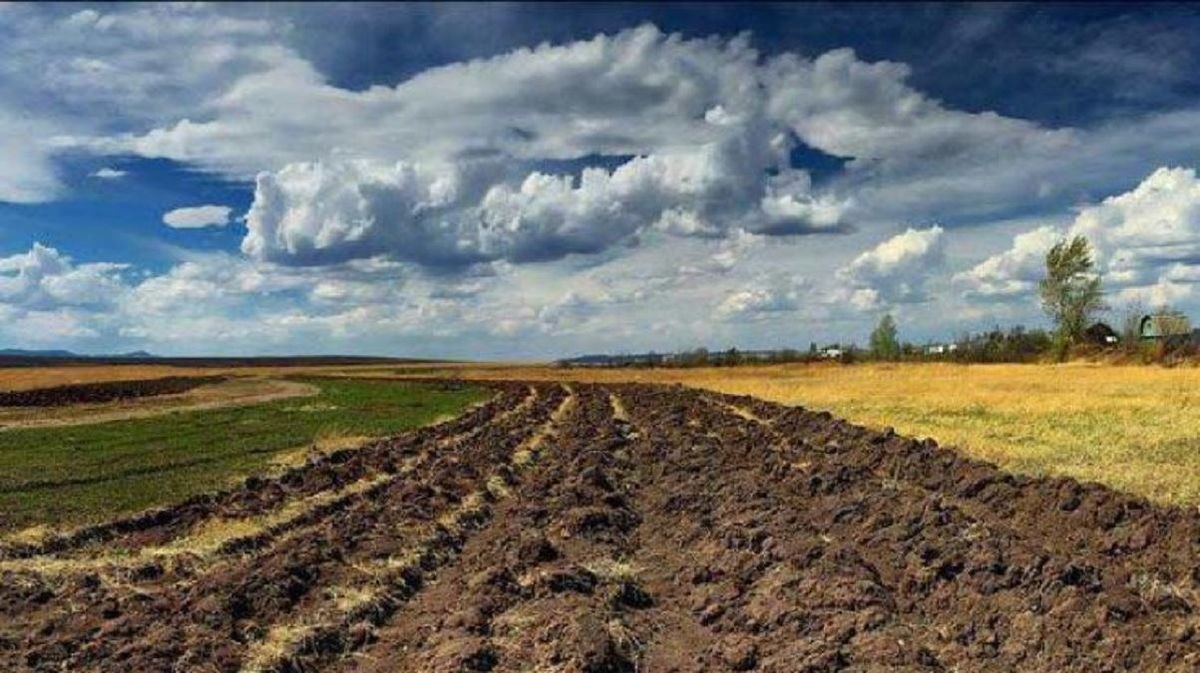 Земля почти. Земля пашня. Вспаханное поле. Распахивание земель. Вспаханная земля.