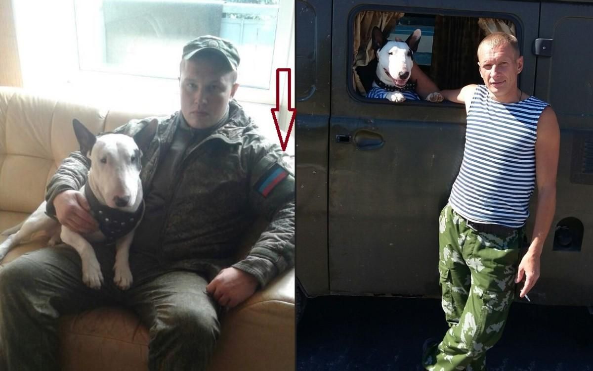 Пес из Горловки сдал российского разведчика: фото Пес из Горловки сдал российского разведчика: фото