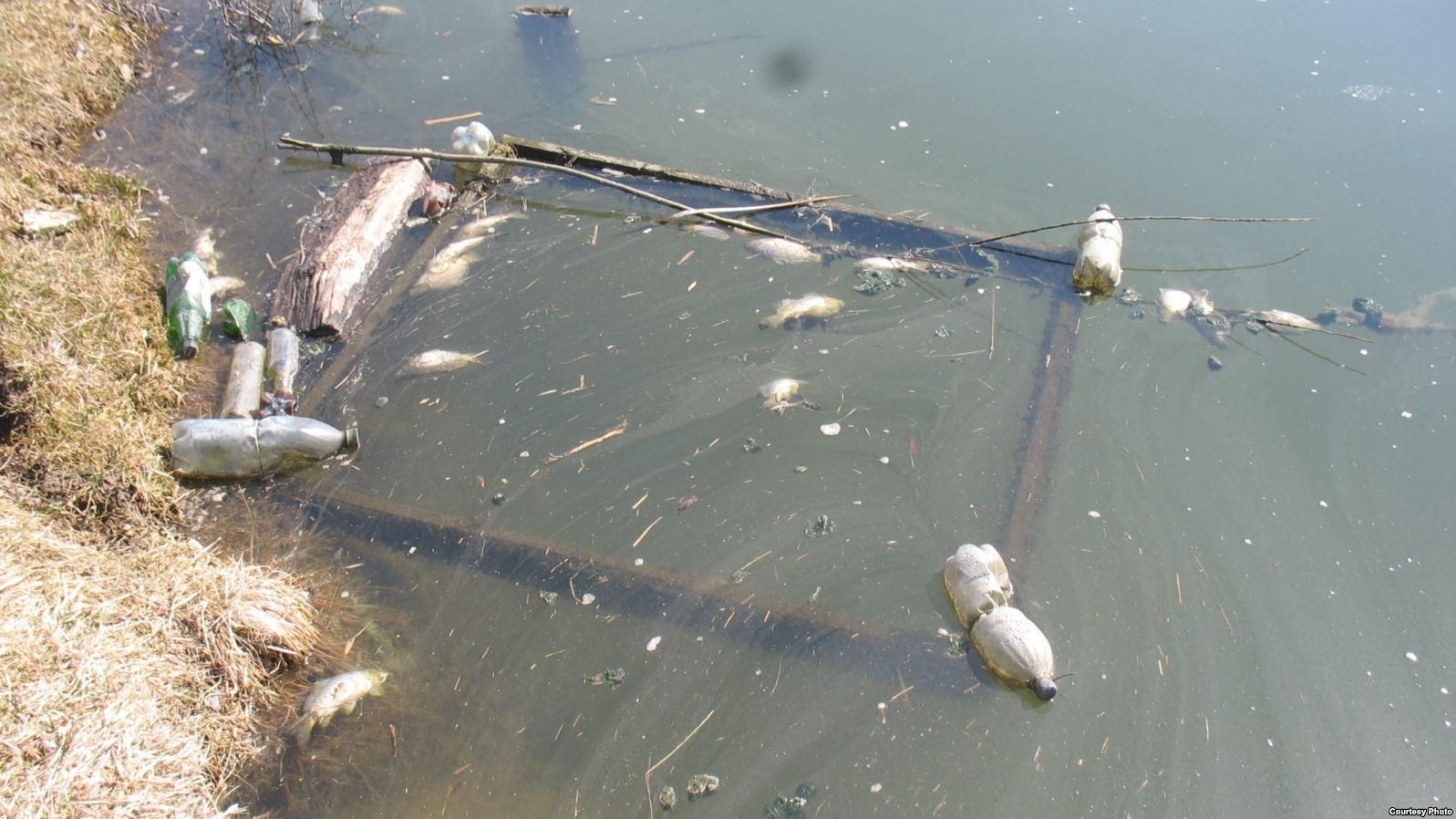 Обмеление и загрязнение Днепра приобрело катастрофические масштабы: экологи молчат об опасности Обмеление и загрязнение Днепра приобрело катастрофические масштабы: экологи молчат об опасности