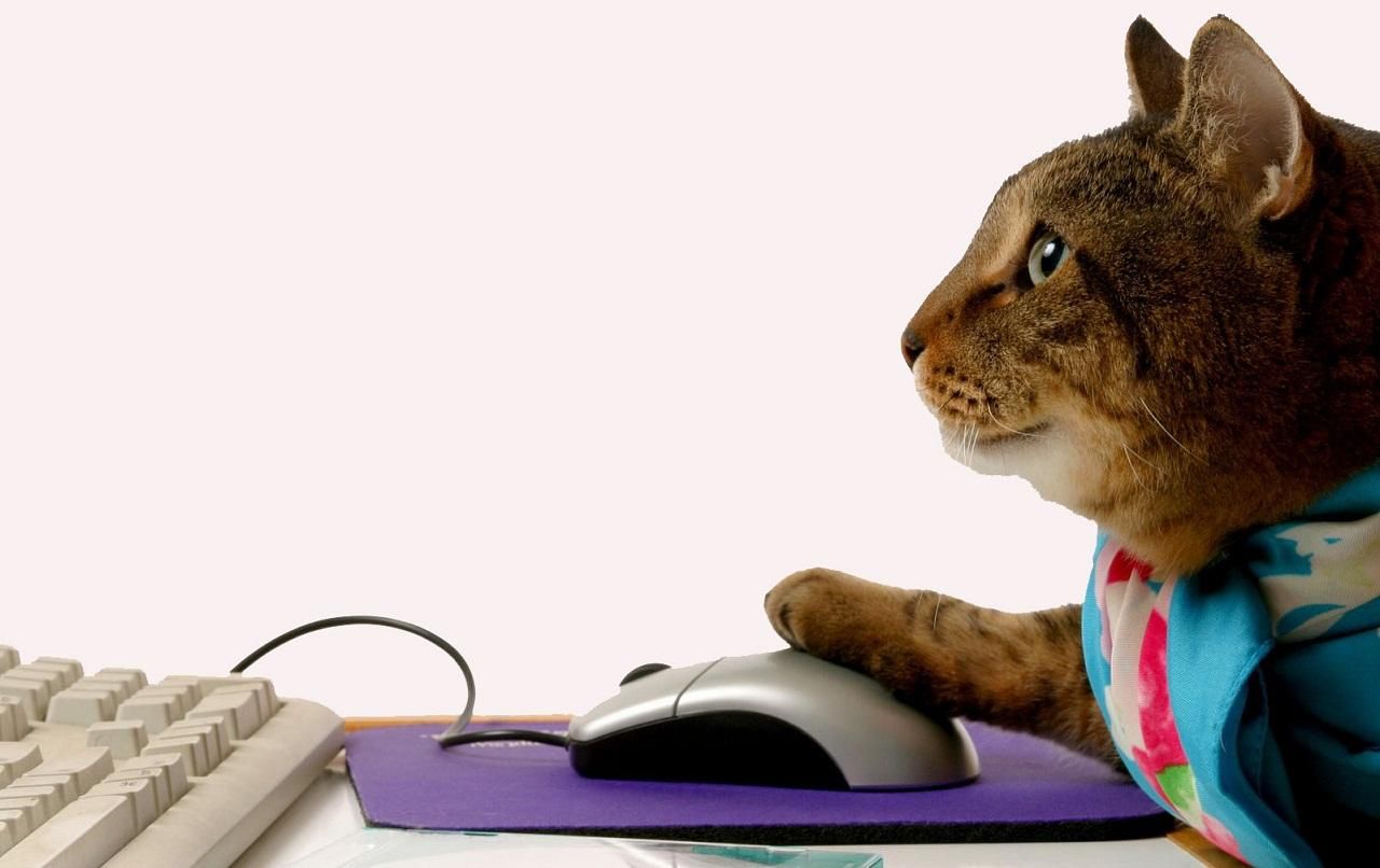 Сайты, которые помогут побороть скуку: список Сайты, которые помогут побороть скуку: список