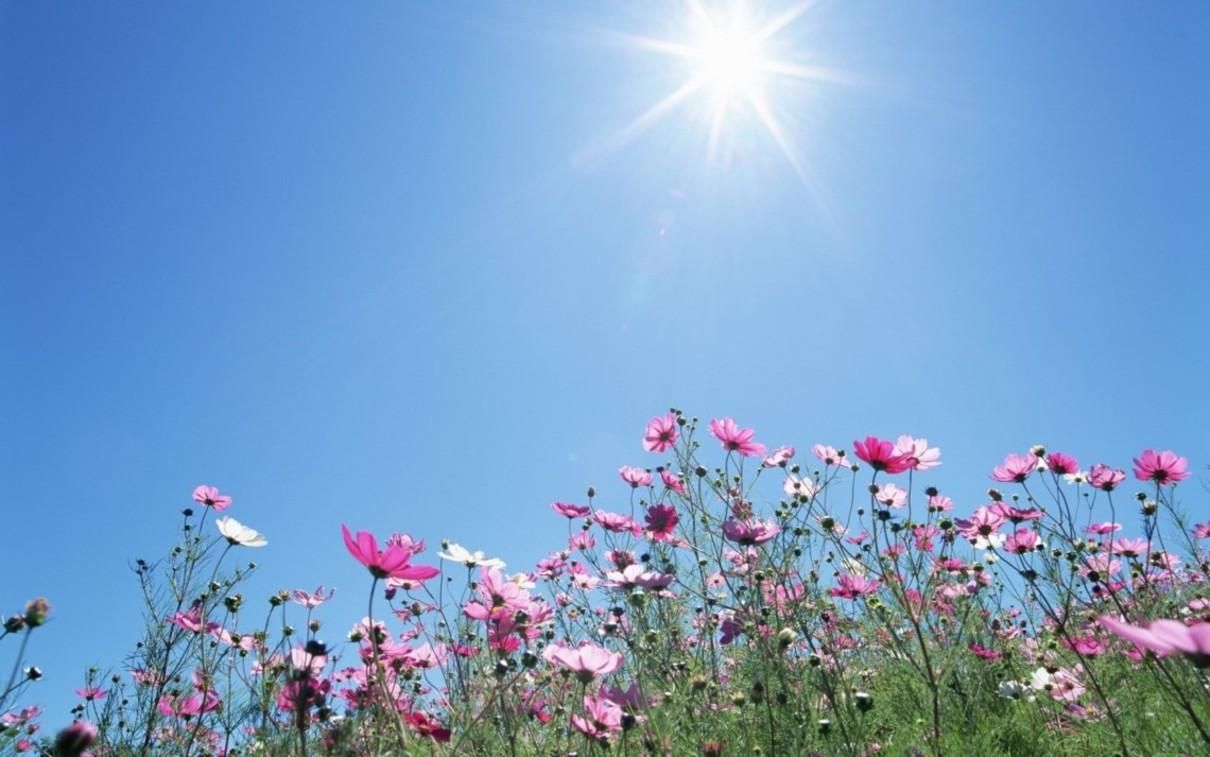 Погода 2 августа 2020 Украина: какую погоду обещает синоптик Погода 2 августа 2020 Украина: какую погоду обещает синоптик