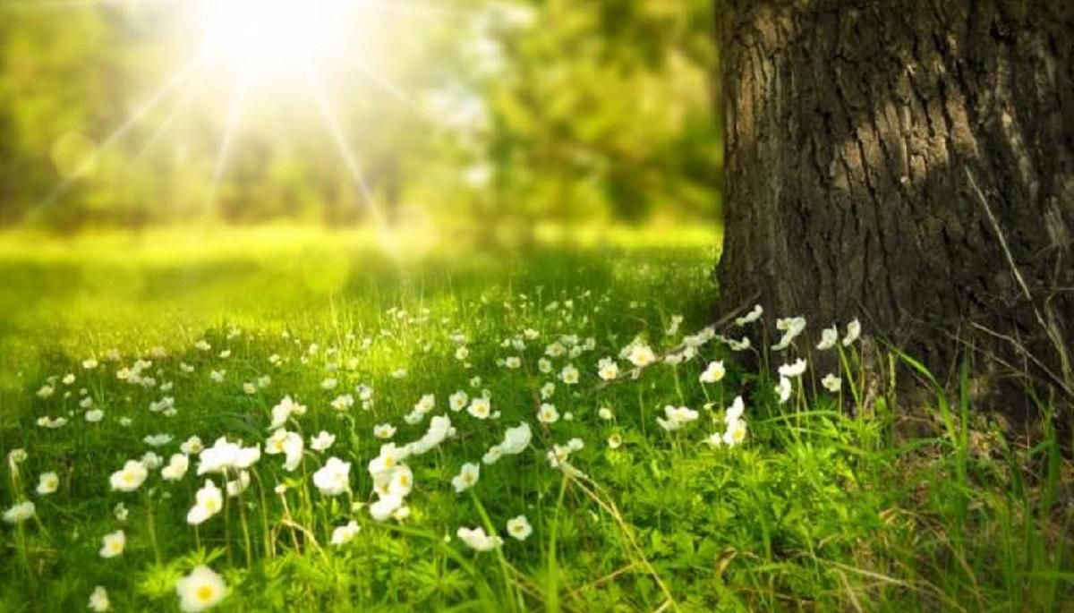 Погода 3 серпня 2020 Україна: яку погоду обіцяє синоптик Погода 3 серпня 2020 Україна: яку погоду обіцяє синоптик