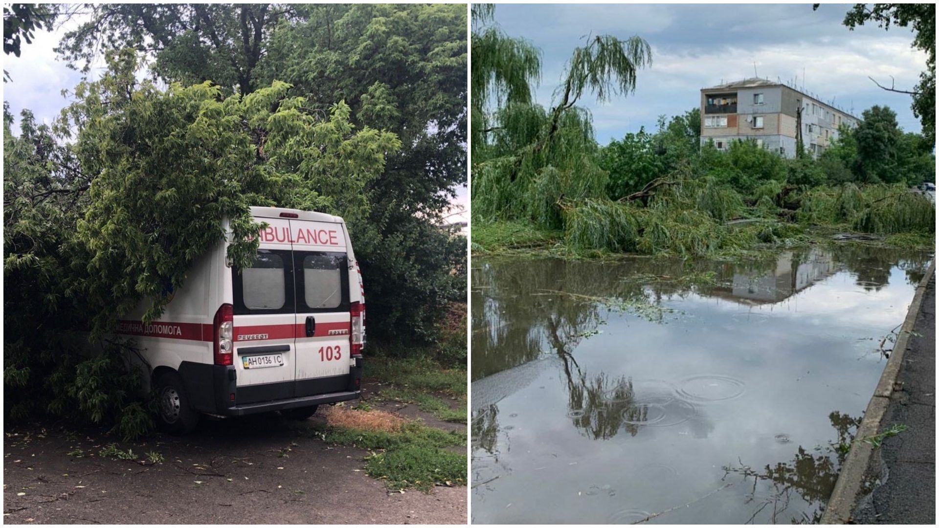 Ураган на Донеччині зривав дахи та розкидав дерева: фото і відео