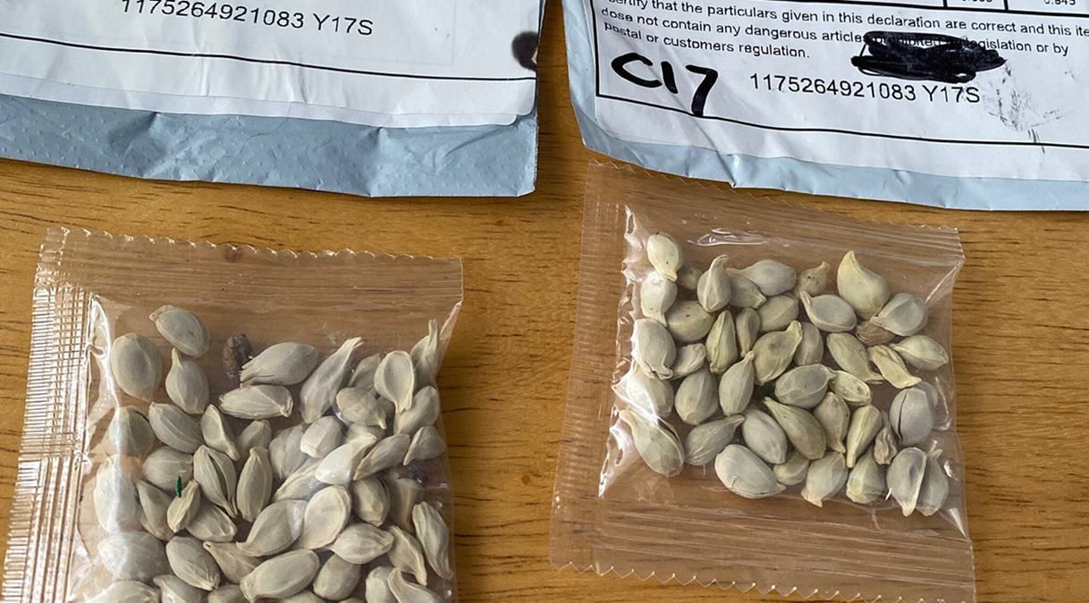 Американцы получают загадочные посылки из Китая: фото Американцы получают загадочные посылки из Китая: фото