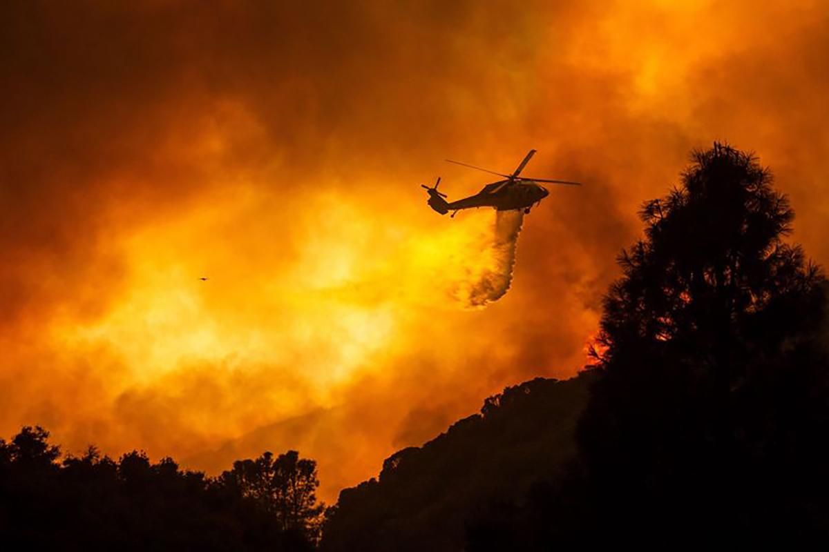 Лесные пожары в США 2020: что известно, фото и видео