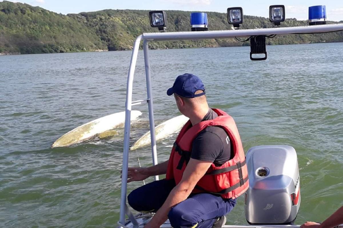 В Хмельницкой области перевернулся катамаран с 3 людьми - фото В Хмельницкой области перевернулся катамаран с 3 людьми - фото