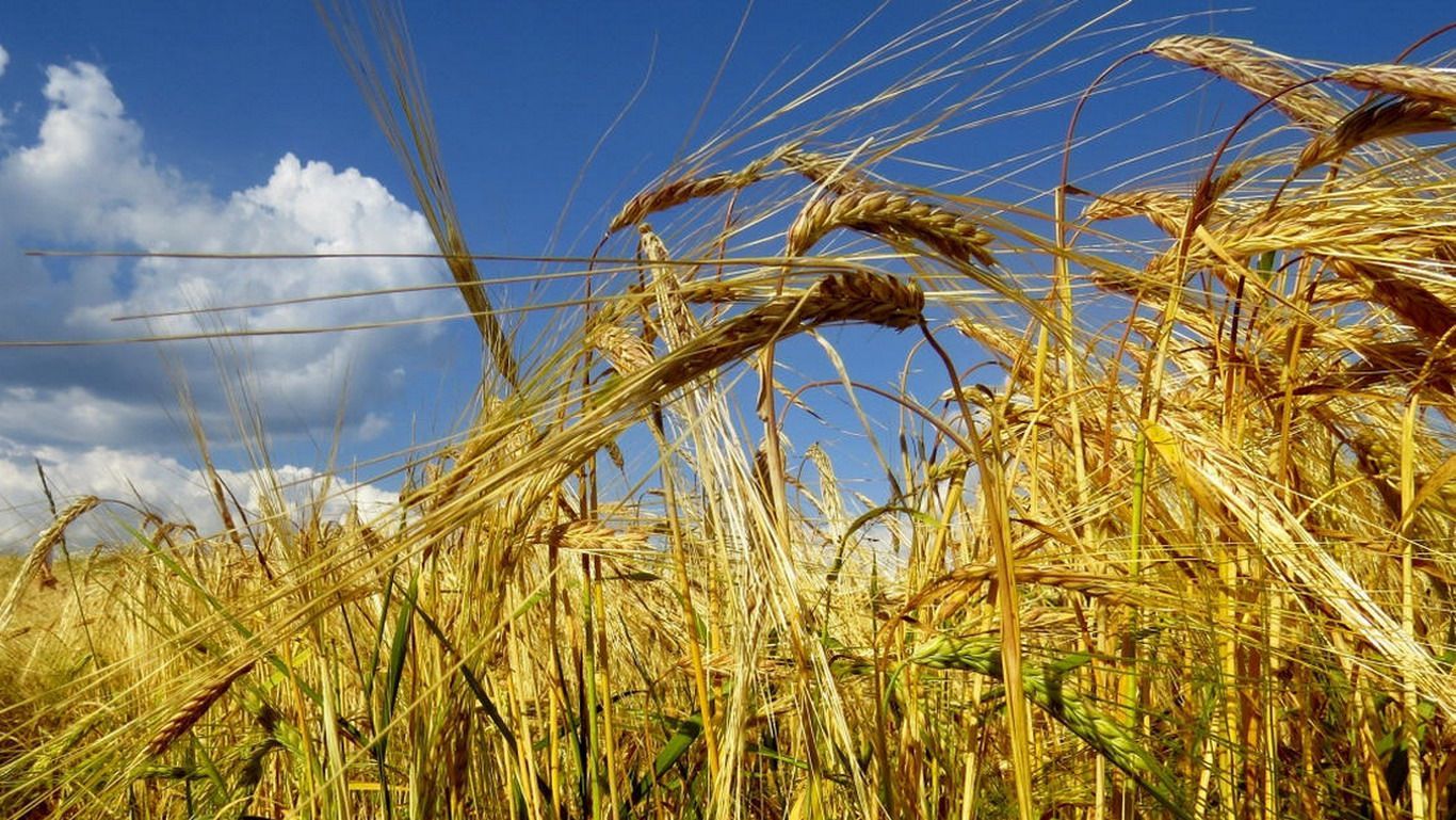 Погода 4 серпня 2020 Україна: яку погоду обіцяє синоптик Погода 4 серпня 2020 Україна: яку погоду обіцяє синоптик