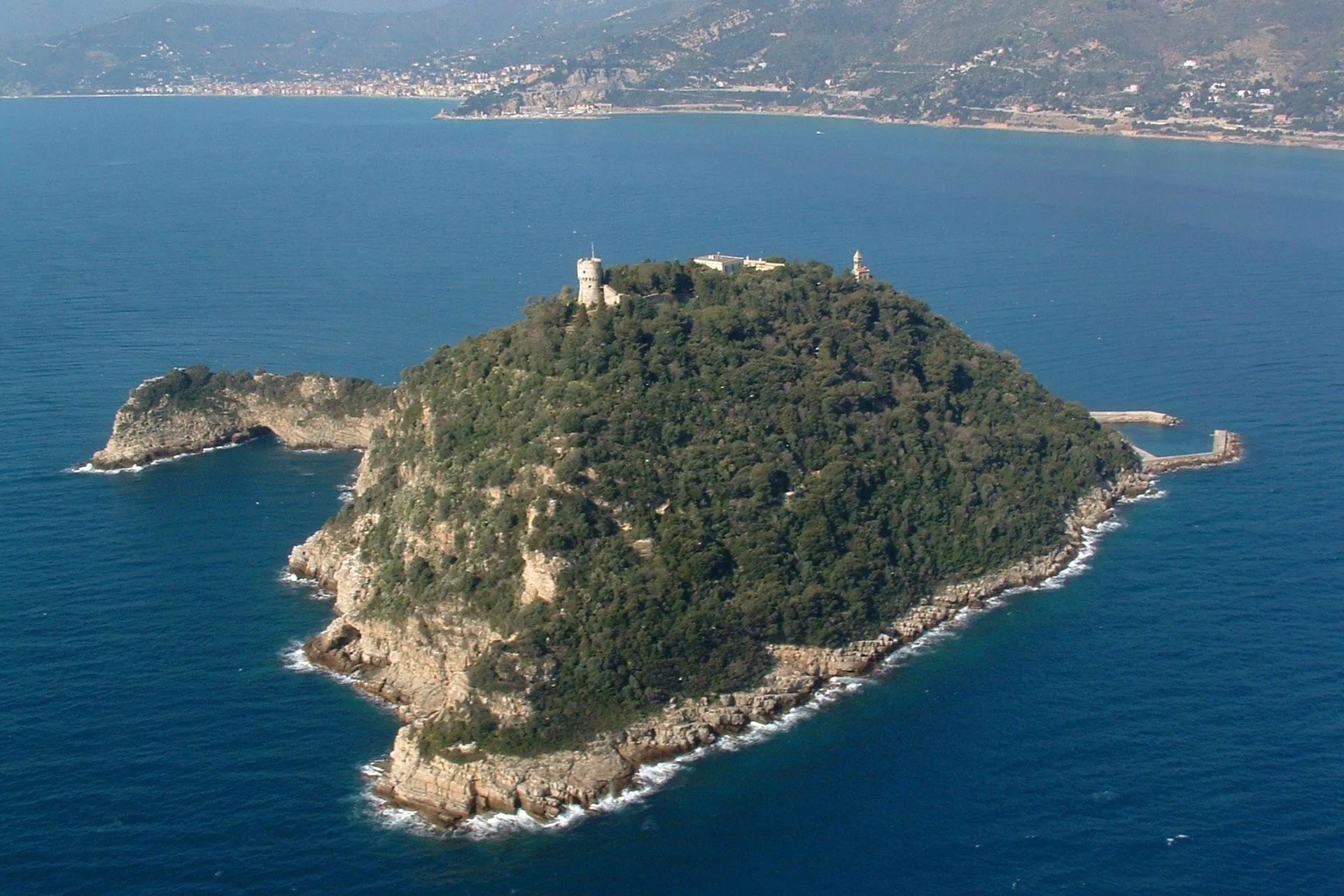 Галлинари Галлинари