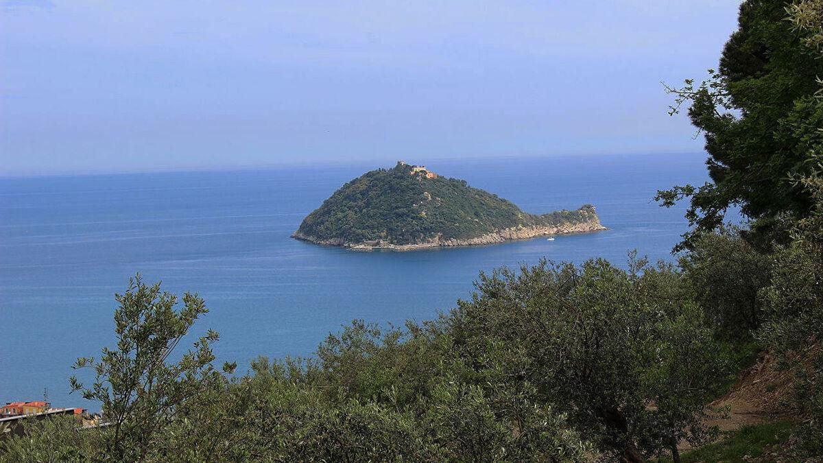 Украинец купил остров в Италии за 10 миллионов евро: что известно