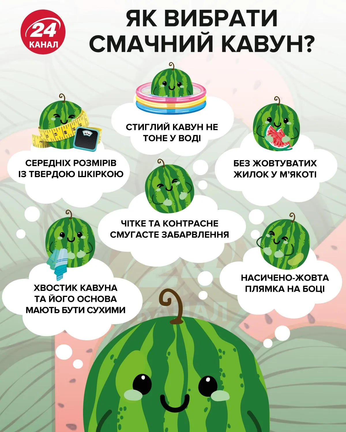 Как выбрать вкусный арбуз / Инфографика 24 канала