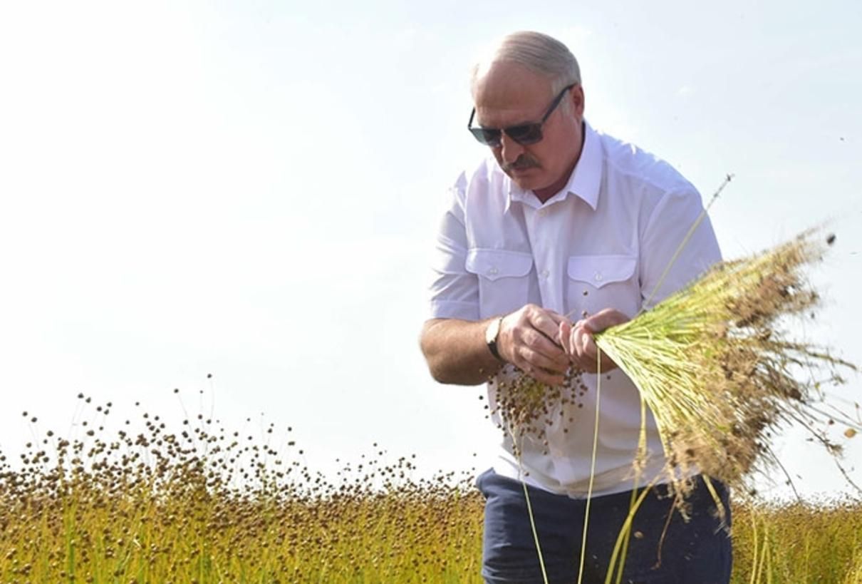 Навіщо нам чужі помилки: Лукашенко розкритикував відкриття ринку землі в Україні