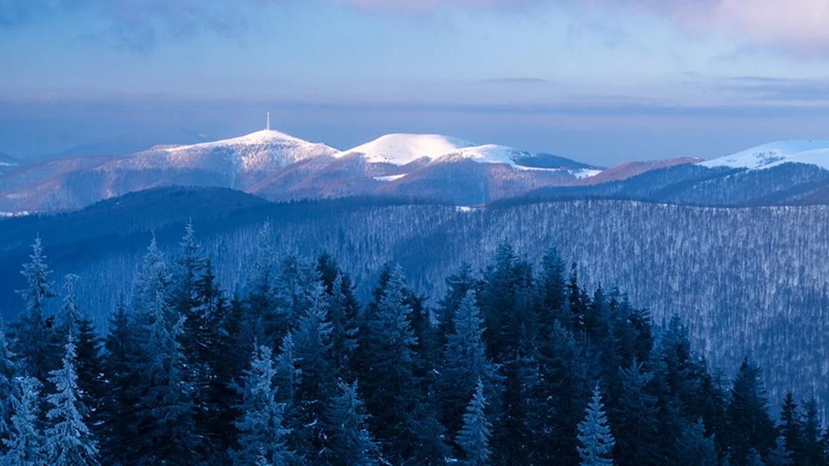 Зима в Карпатах Зима в Карпатах