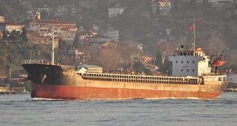 Взрыв в Бейруте произошел из-за селитры с судна российского бизнесмена Гречушкина, – СМИ
