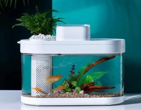  Xiaomi розробила розумний акваріум