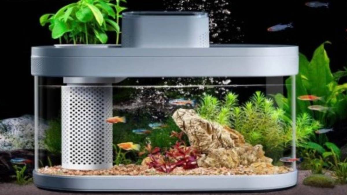 Xiaomi разработала умный аквариум с автокормушкой Xiaomi разработала умный аквариум с автокормушкой