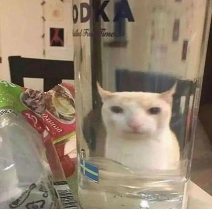 Кумедні фото Кумедні фото