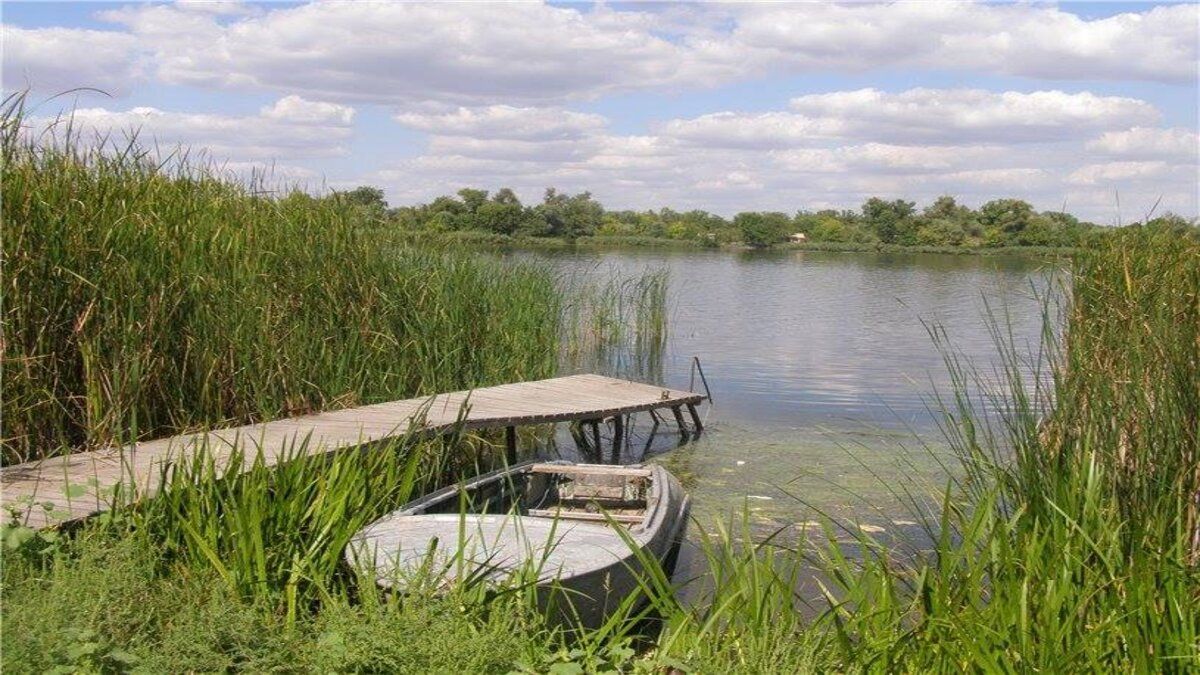 Без крамниць та з незвичними прізвиськами: як живуть на унікальному острові Білогрудів Без крамниць та з незвичними прізвиськами: як живуть на унікальному острові Білогрудів