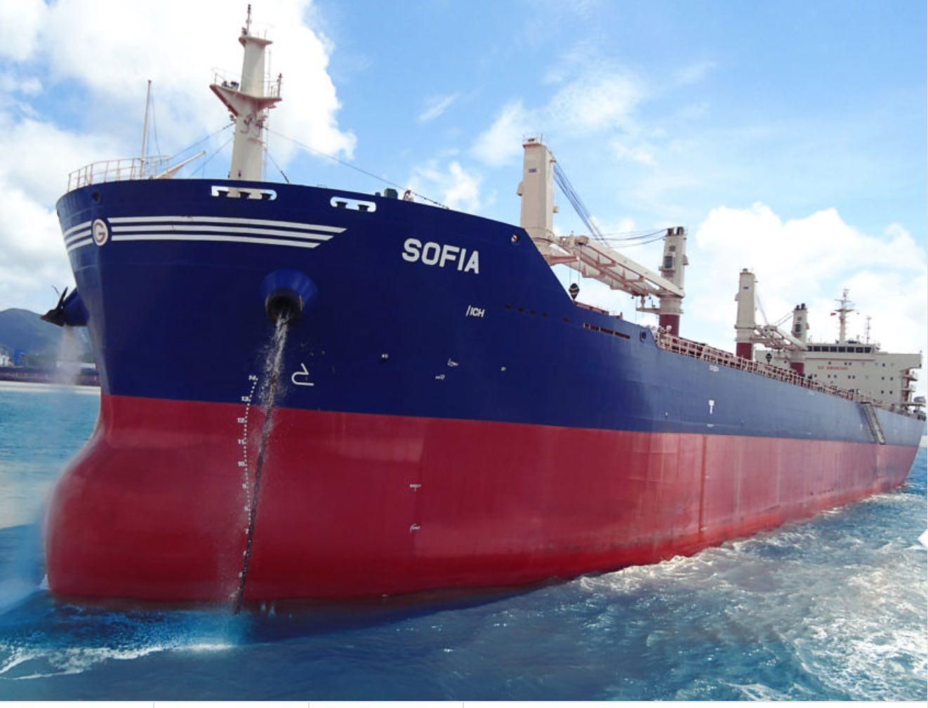 В Одессе умер капитан судна "София": ранее там обнаружили вспышку COVID-19 В Одессе умер капитан судна "София": ранее там обнаружили вспышку COVID-19