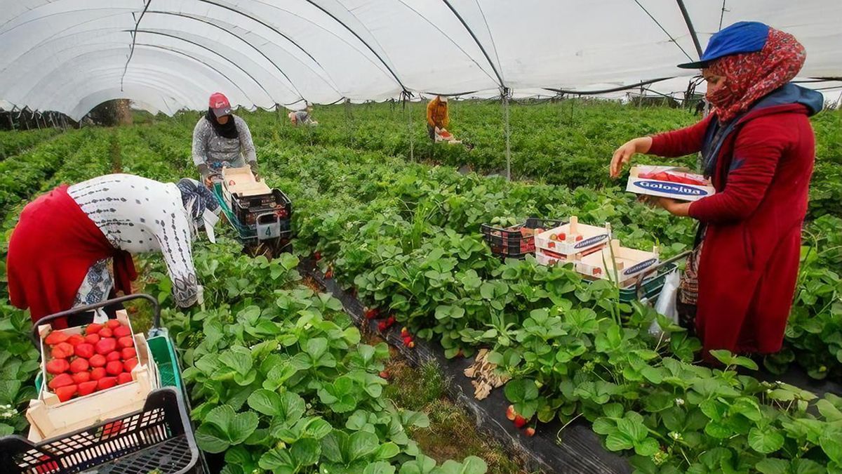 З Естонії депортують українців, які порушили самоізоляцію З Естонії депортують українців, які порушили самоізоляцію