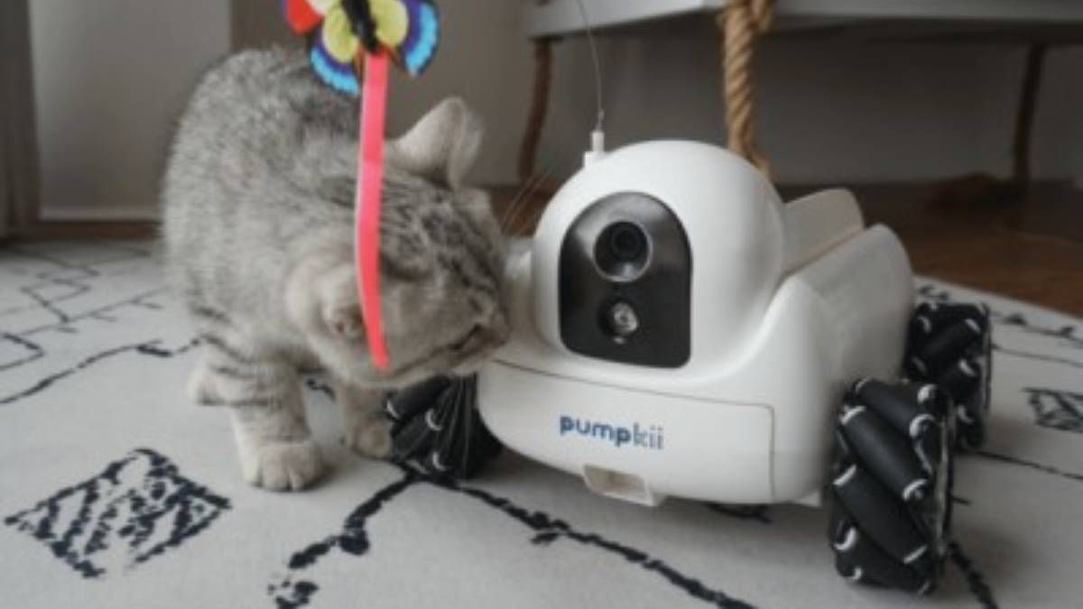Xiaomi випустила робота-компаньона для домашніх тварин Xiaomi випустила робота-компаньона для домашніх тварин