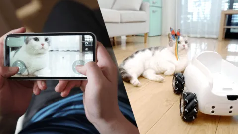Xiaomi випустила  робота-компаньона для домашніх тварин