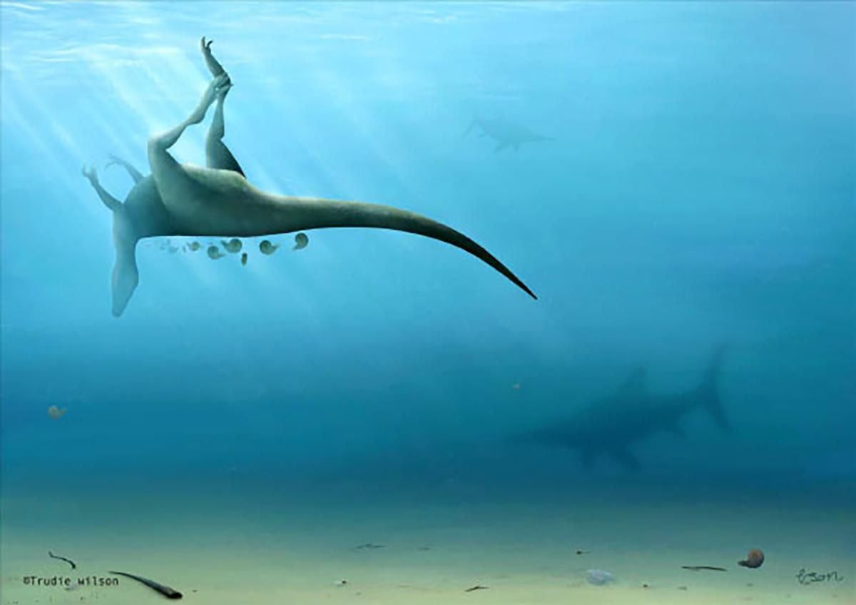 Пронизан полостями и жил в воде: ученые открыли новый вид динозавра