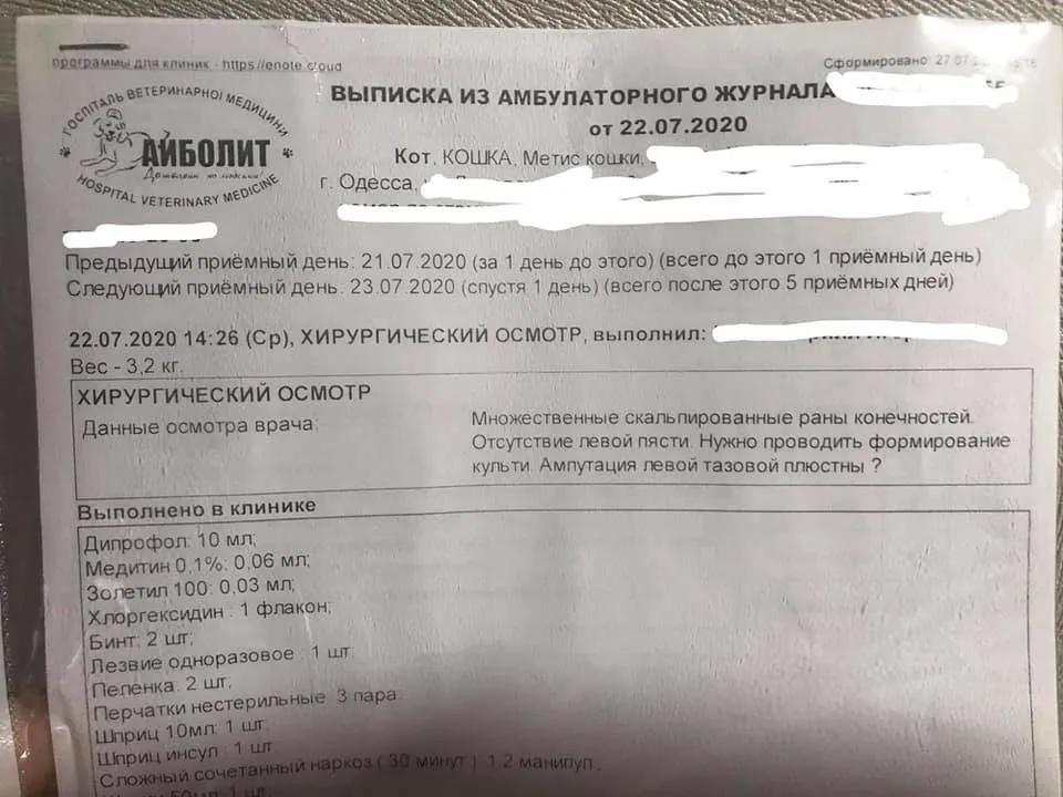 Діт, Одеса, тварина. діти різали скальпелем Діт, Одеса, тварина. діти різали скальпелем