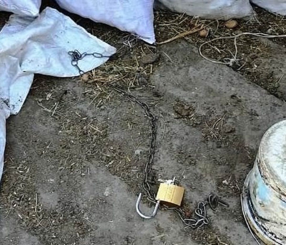 Мама держала дочь на цепи в Винницкой области: детали Мама держала дочь на цепи в Винницкой области: детали