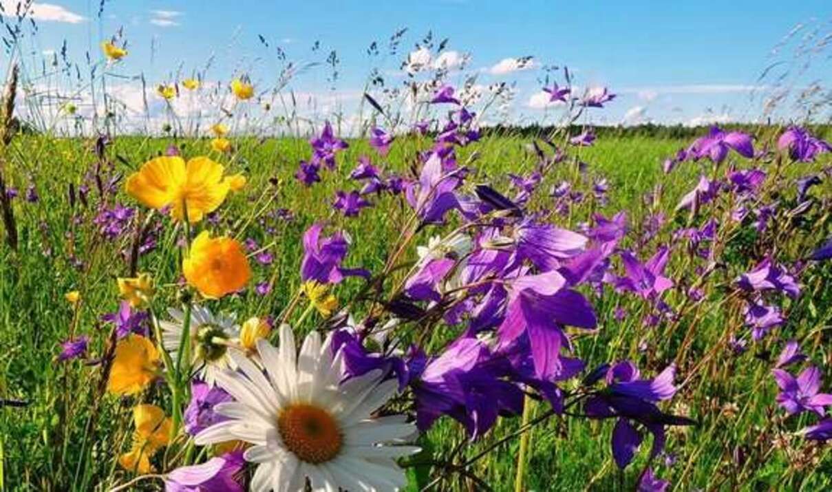 Погода 21 августа 2020 Украина: какую погоду обещает синоптик Погода 21 августа 2020 Украина: какую погоду обещает синоптик