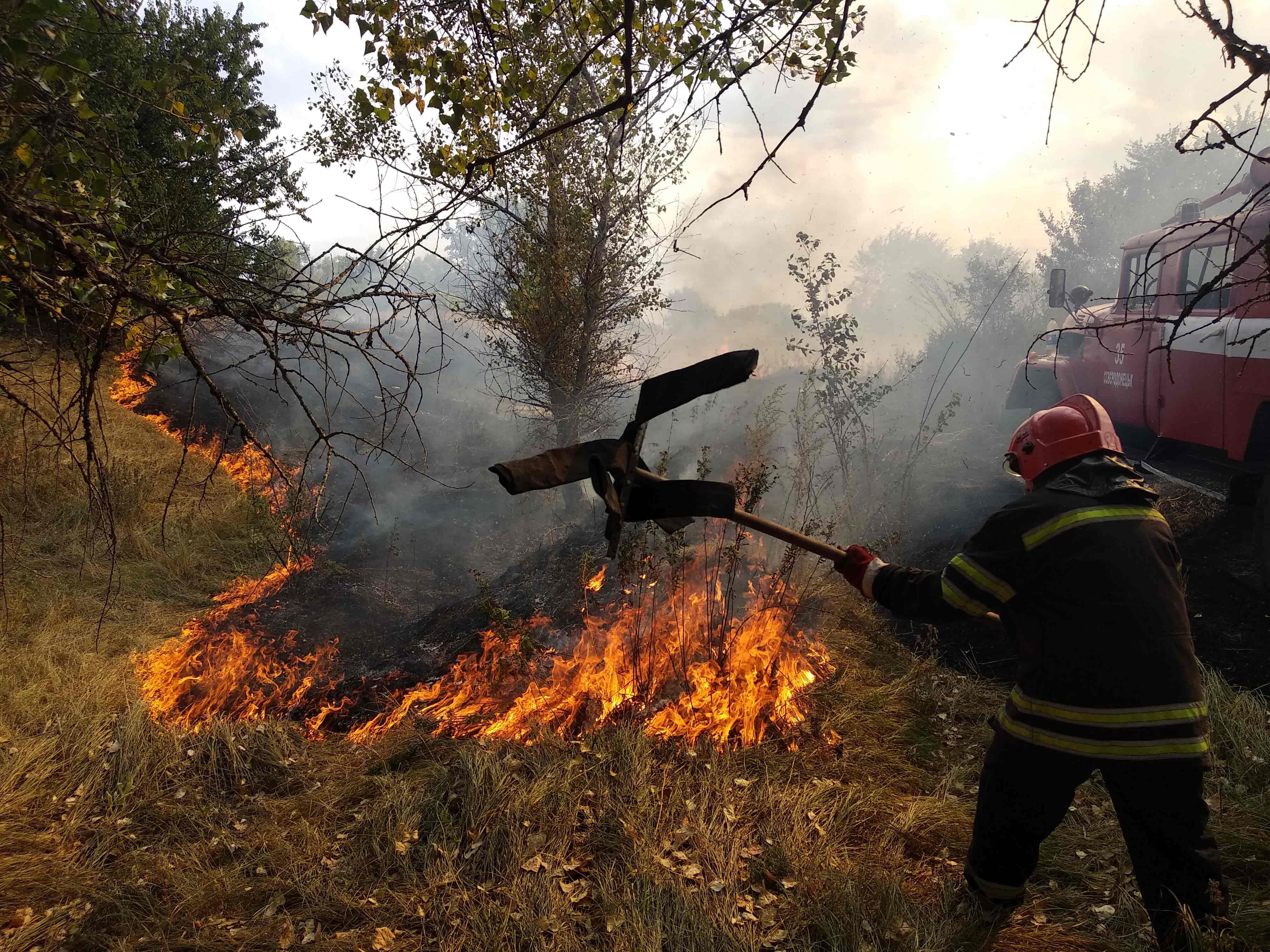 Пожежа в Луганській області біля Сєвєродонецька: відео