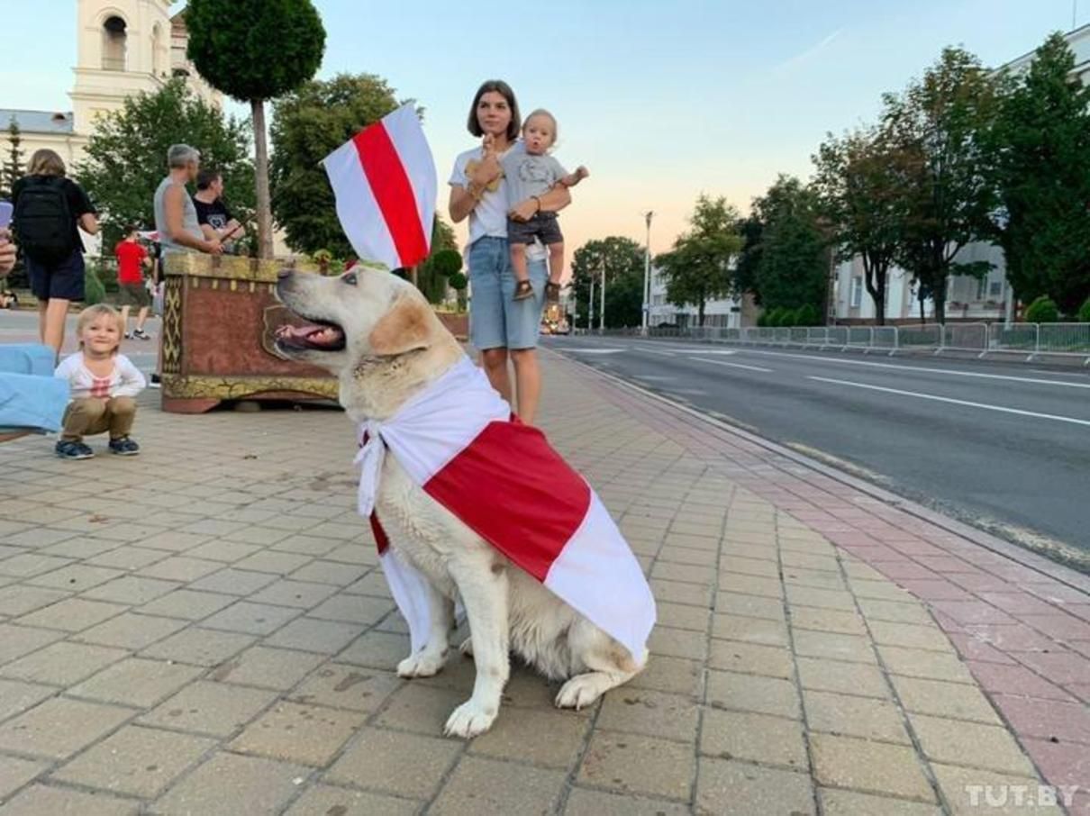 Протесты в Белоруссии сегодня 22 августа 2020 – видео и фото, все новости Протесты в Белоруссии сегодня 22 августа 2020 – видео и фото, все новости