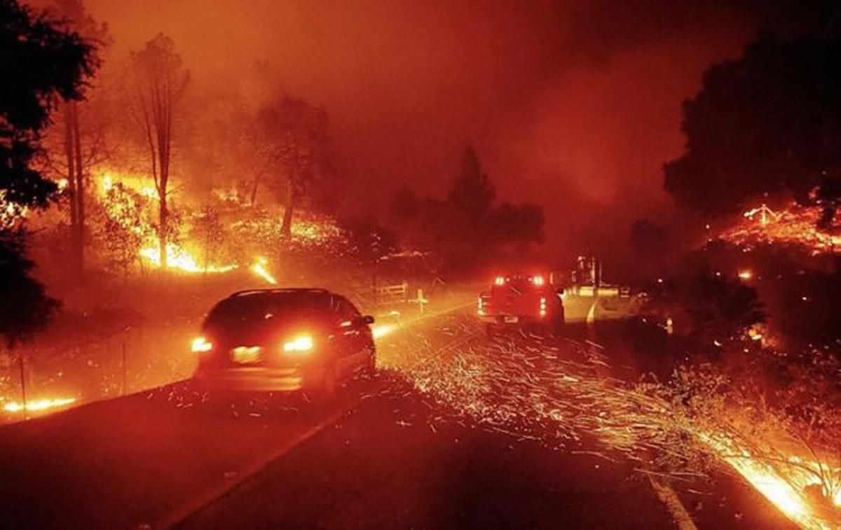 Лісові пожежі в Каліфорнії 2020: що відомо, фото та відео