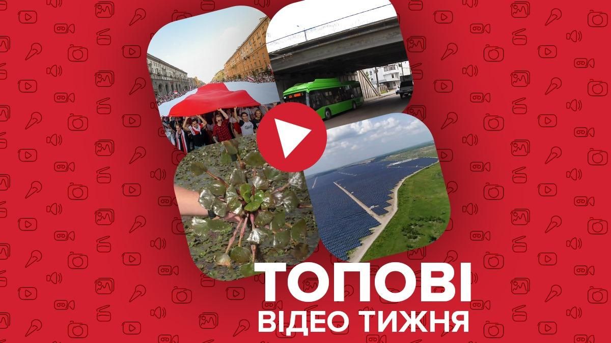 Вплив санкцій на ситуацію в Білорусі та хто виграє від зниження "зелених" тарифів – відео тижня