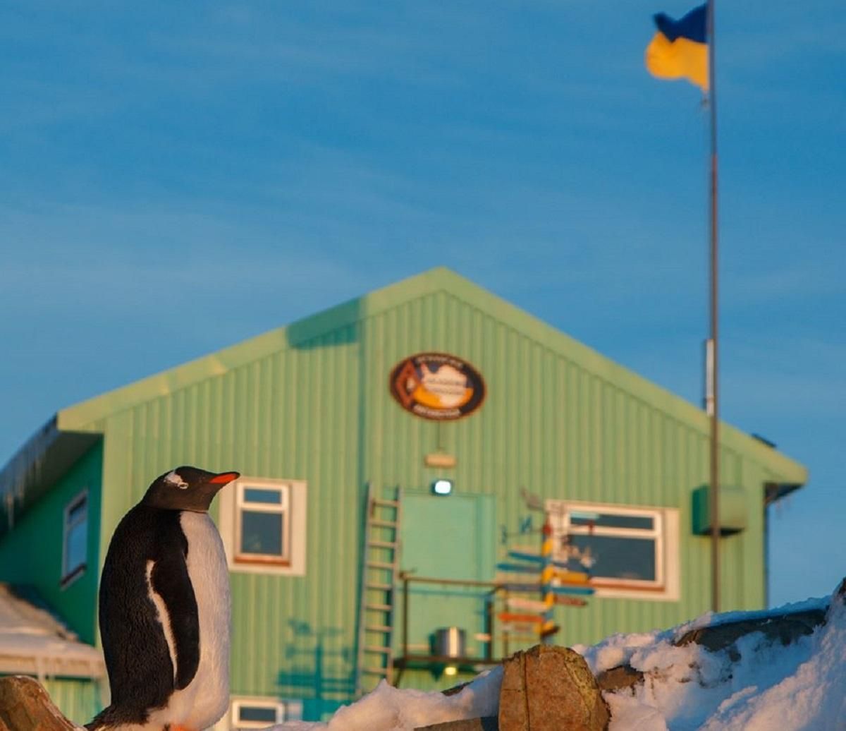 Полярники поздравили украинцев с Днем флага: фото Полярники поздравили украинцев с Днем флага: фото