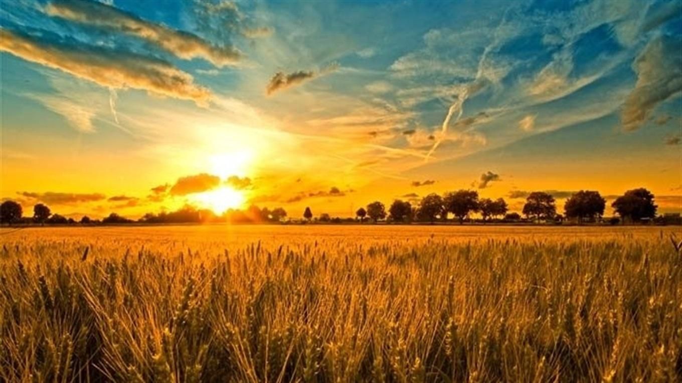 Погода 26 августа 2020 Украина: какую погоду обещает синоптик Погода 26 августа 2020 Украина: какую погоду обещает синоптик