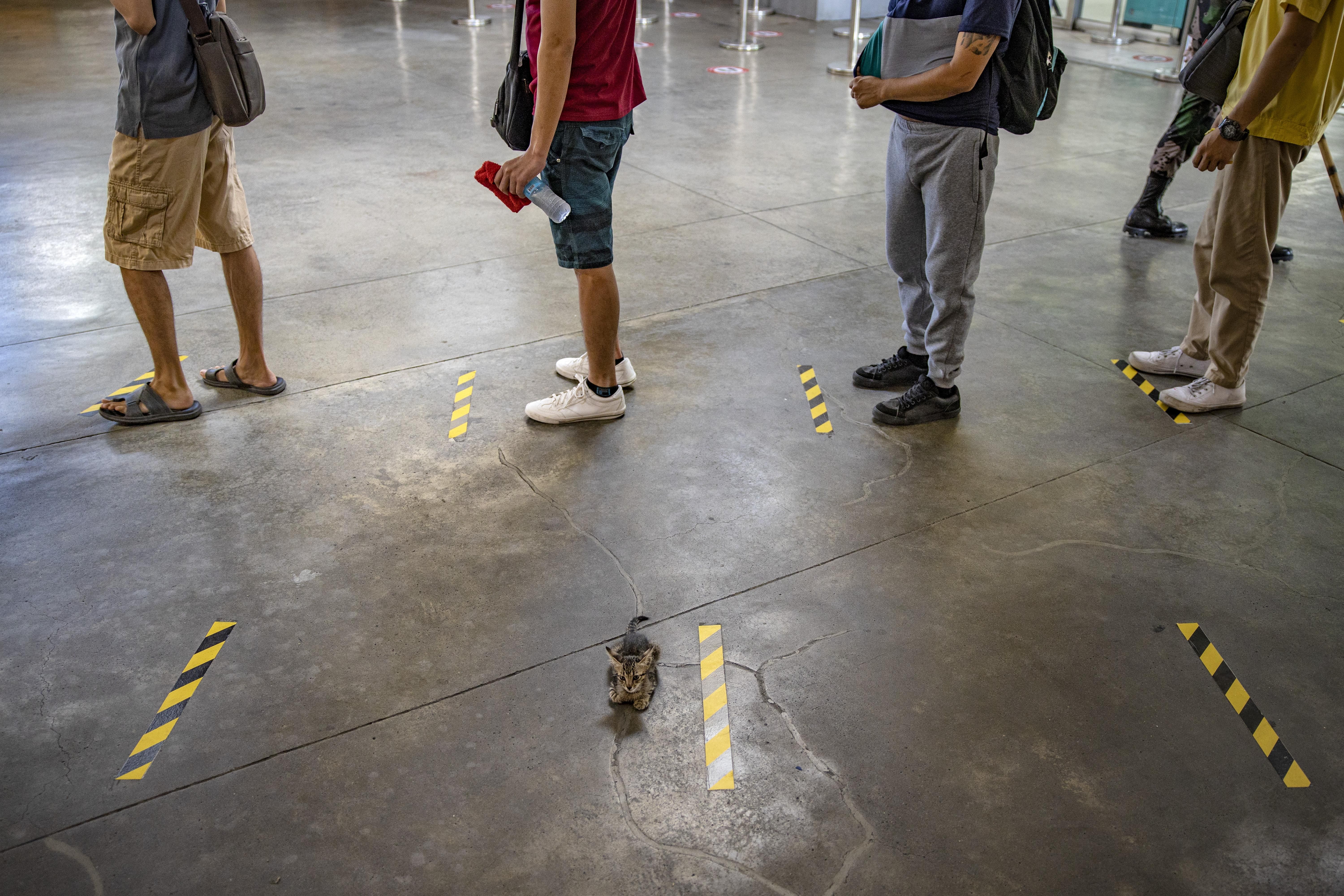 Карантин в Україні продовжили до 1 листопада 2020 – новини Карантин в Україні продовжили до 1 листопада 2020 – новини