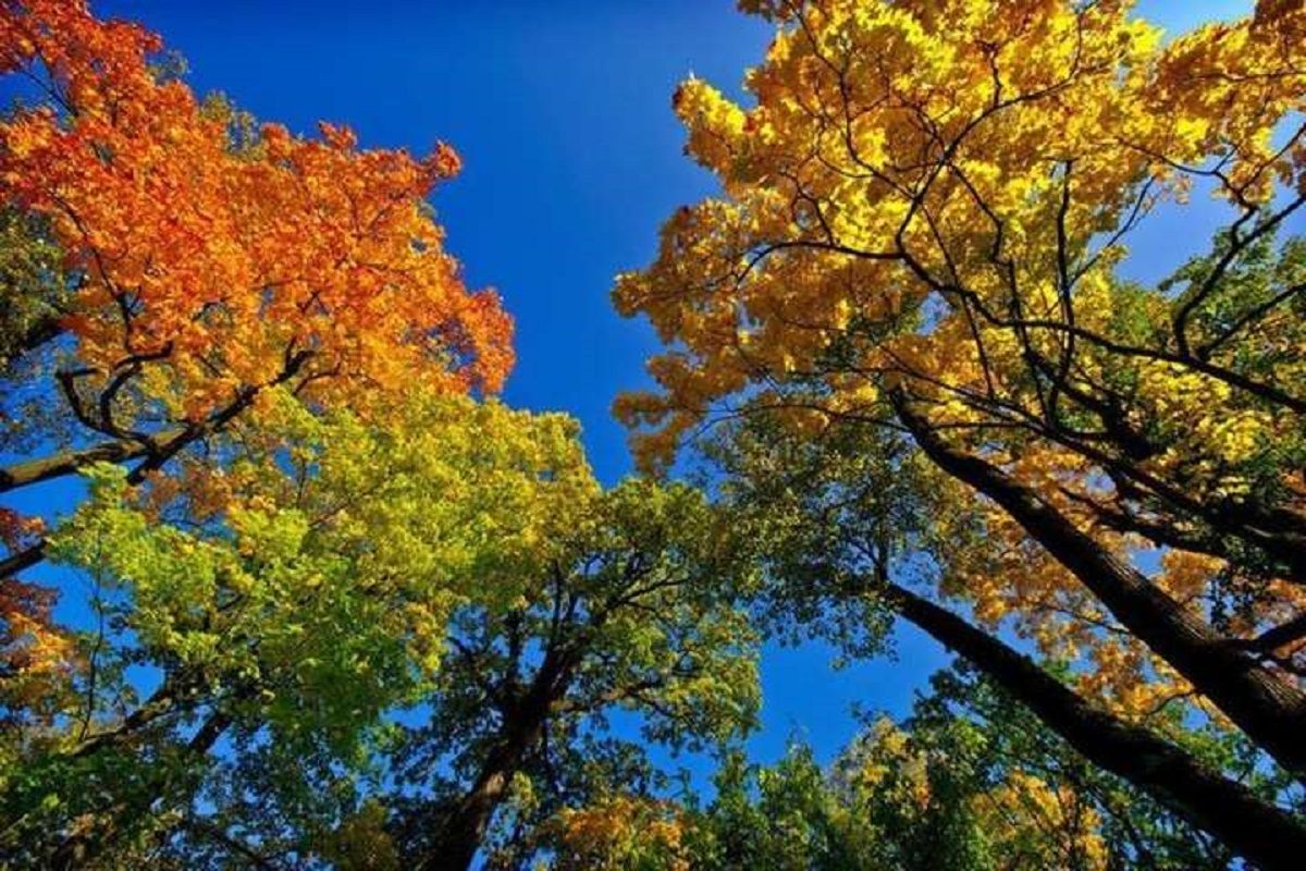 Какой будет сентябрь 2020 в Украине: прогноз погоды синоптиков Какой будет сентябрь 2020 в Украине: прогноз погоды синоптиков