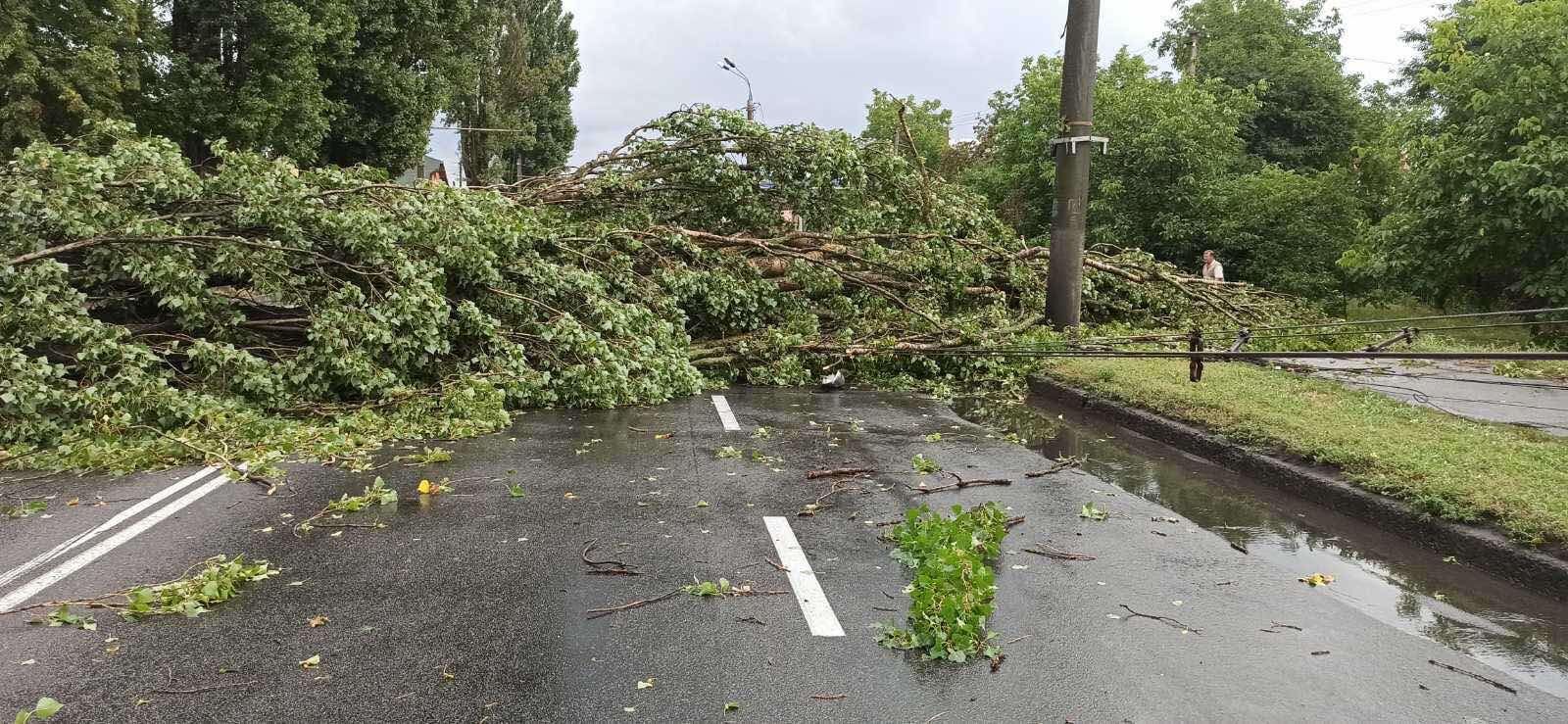 Негода в Україні: понад 100 населених пунктів залишились без світла Негода в Україні: понад 100 населених пунктів залишились без світла