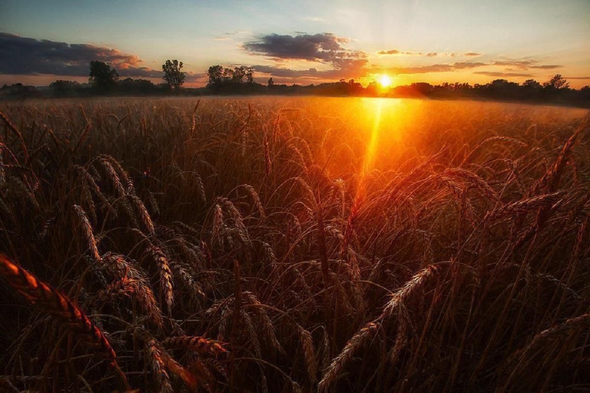 Погода 27 августа 2020 Украина: какую погоду обещает синоптик Погода 27 августа 2020 Украина: какую погоду обещает синоптик