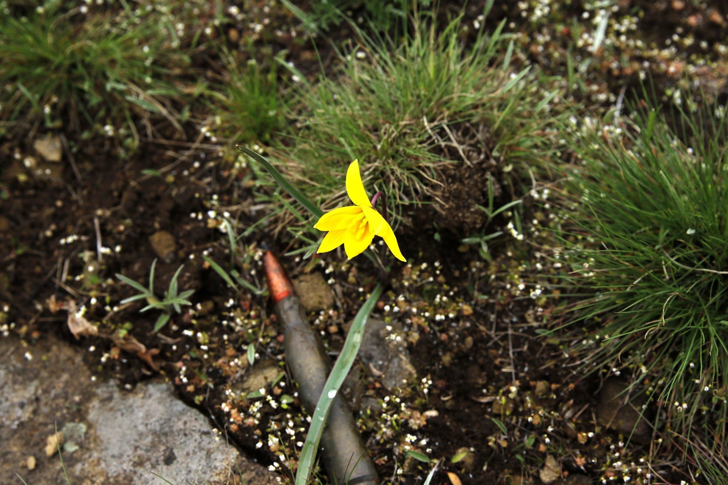 В ООС відзвітували про місяць тиші на Донбасі: деталі В ООС відзвітували про місяць тиші на Донбасі: деталі