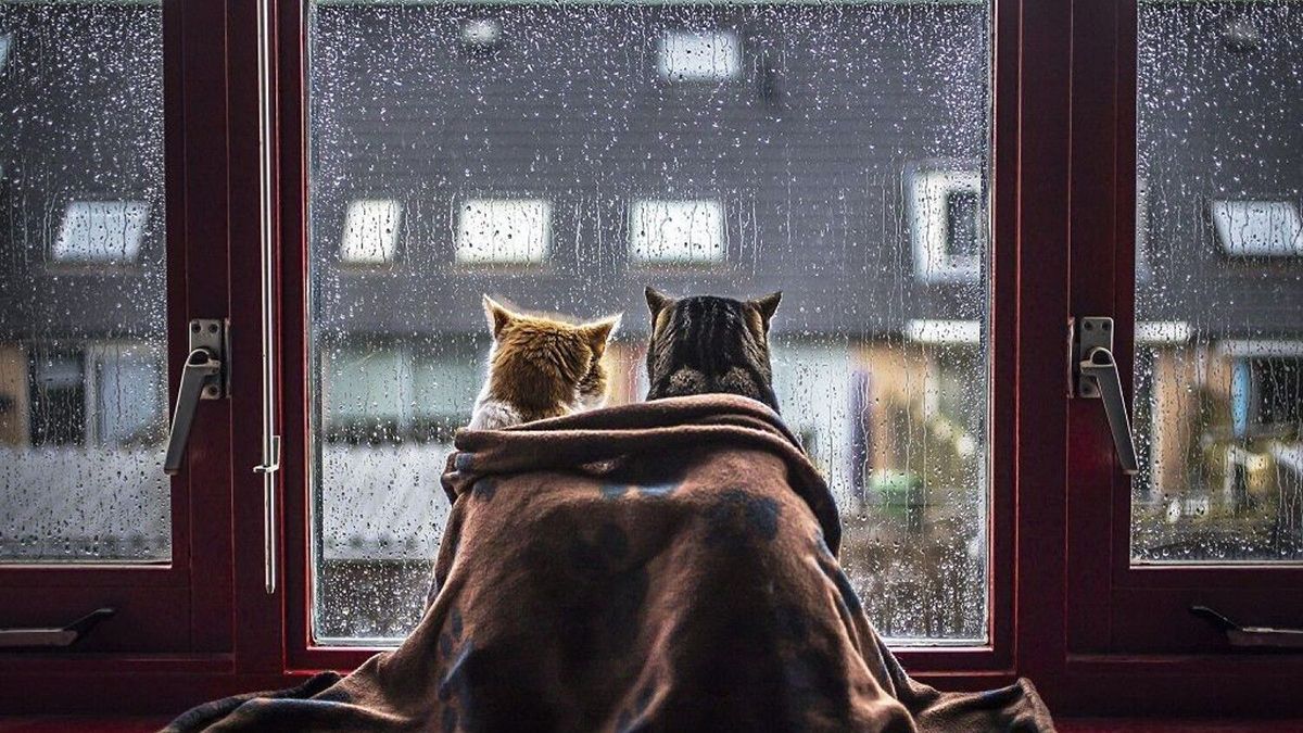 Якою буде погода восени 2020, Україна – прогноз синоптика Якою буде погода восени 2020, Україна – прогноз синоптика