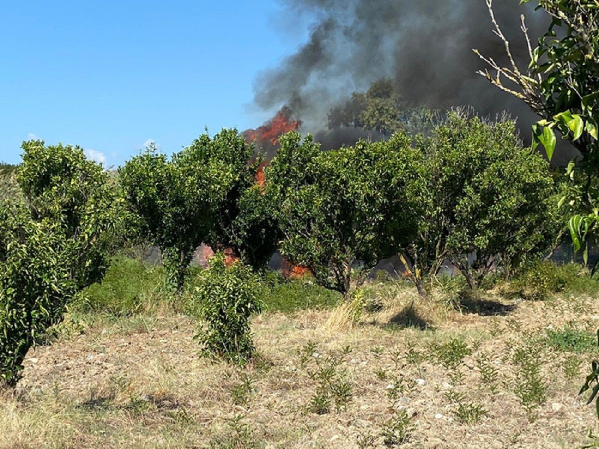 В Італії розбився літак з туристами: є загиблі, що відомо В Італії розбився літак з туристами: є загиблі, що відомо
