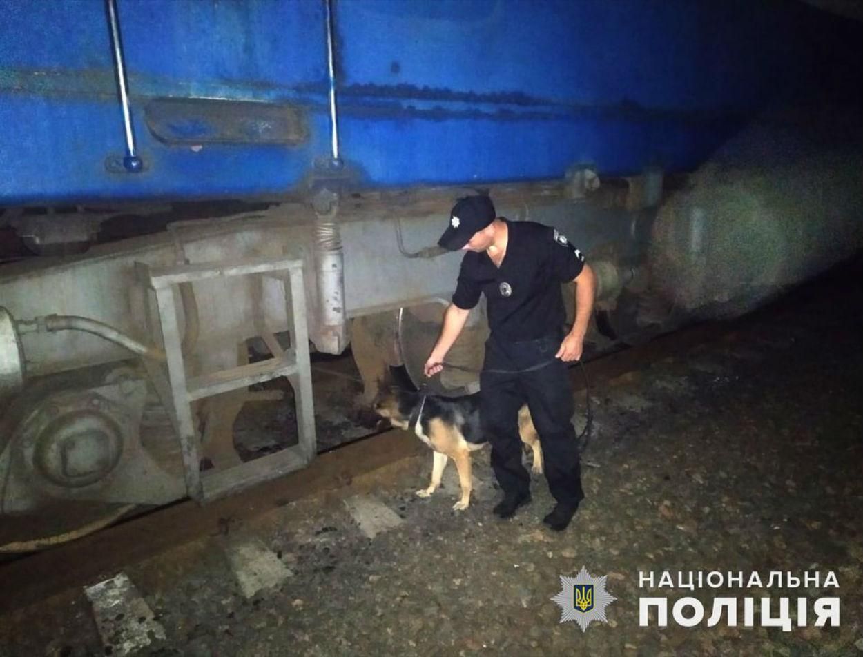 Псевдоминування поезда Николаев - Киев из-за опоздания фото, видео Псевдоминування поезда Николаев - Киев из-за опоздания фото, видео