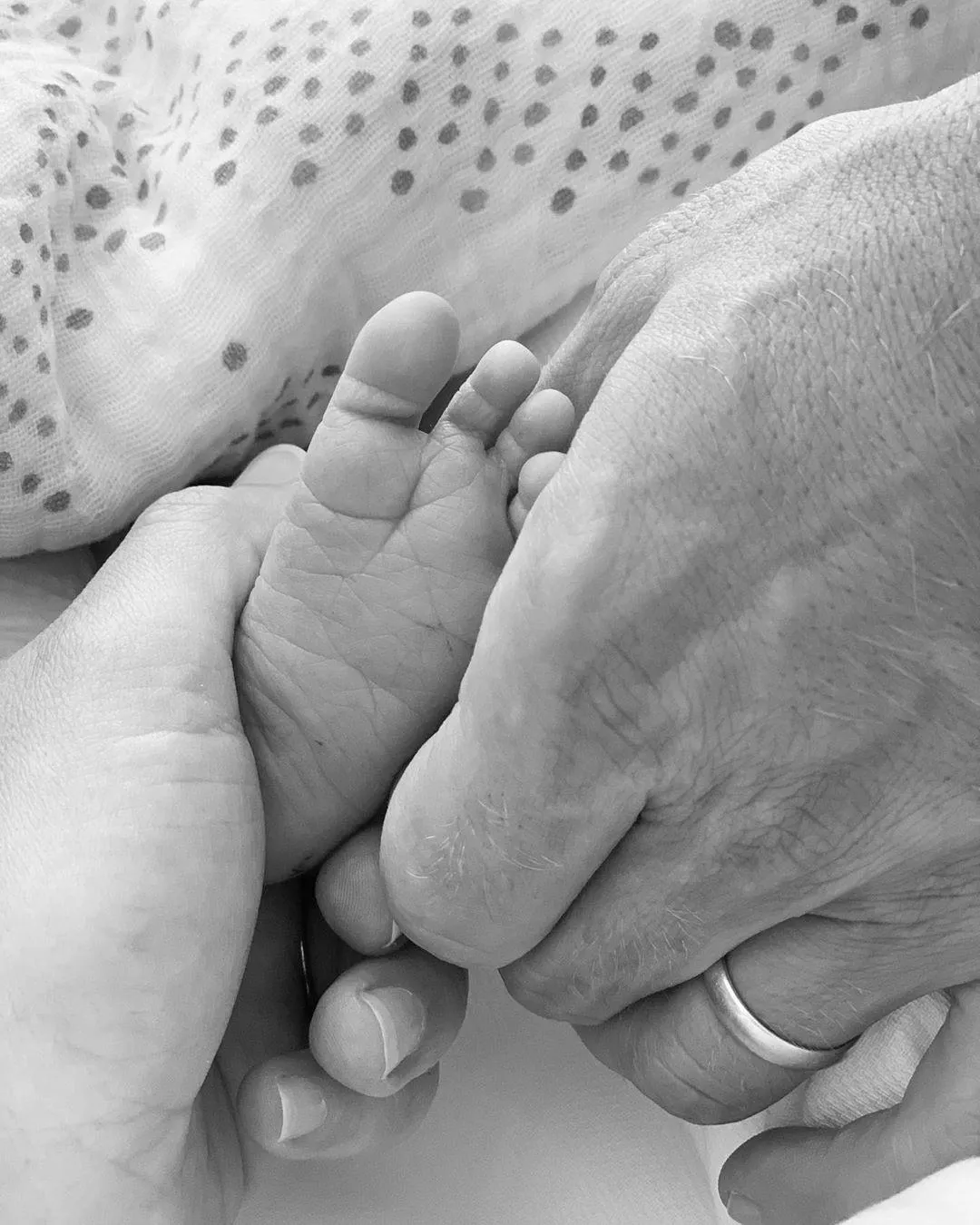 Ліа Мішель Ліа Мішель