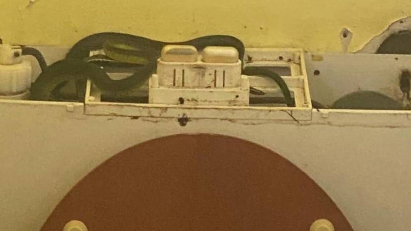 Сюрприз у туалеті: у зливному бачку поселилися чотири змії і не давали злити воду Сюрприз у туалеті: у зливному бачку поселилися чотири змії і не давали злити воду