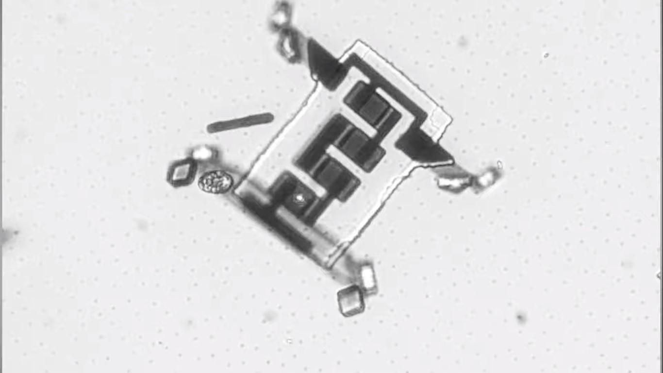 Нанороботов научили путешествовать по телу человека: видео Нанороботов научили путешествовать по телу человека: видео