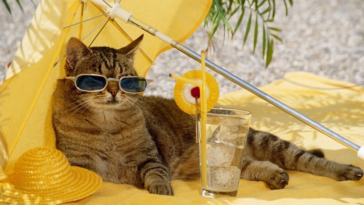 Погода 1 сентября 2020 Украина: какую погоду обещает синоптик Погода 1 сентября 2020 Украина: какую погоду обещает синоптик