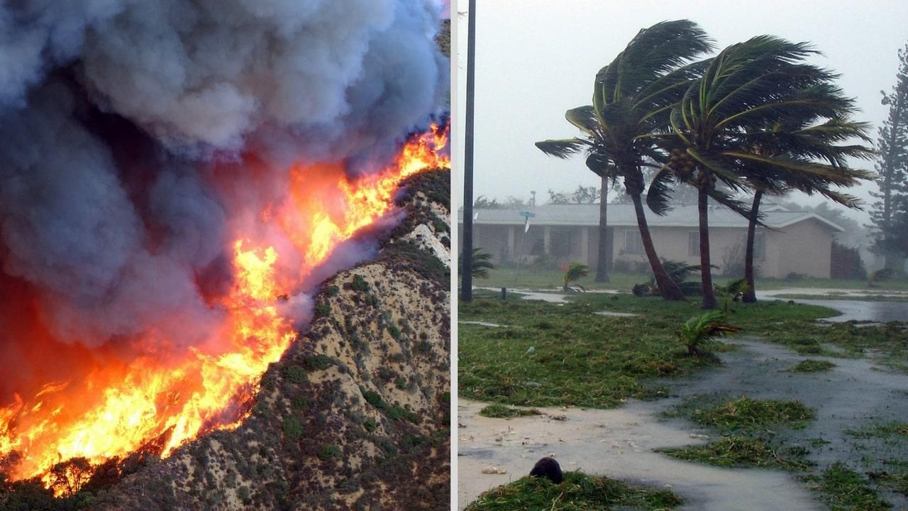 Лесной пожар и ураган Лесной пожар и ураган