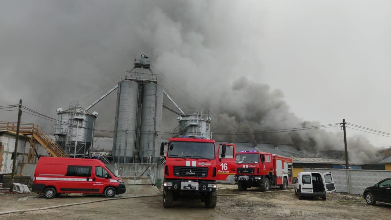 Пожежа у Тустані: загорівся свинокомплекс